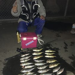 アジング日和り